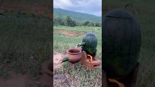 Survival Skills steam bad water in Watermeloncamping outdoors bushcraft survival [upl. by Nnaeinahpets414]