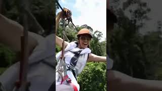 The gibbons experience shortvideo nature zipline national thegibbon naturelovers gibbons [upl. by Simonette941]