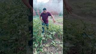 haryana desi life ❤️sab kuch bhula diya 🔥🔥🔥like subscribe desi shorts short haryana [upl. by Edelstein]