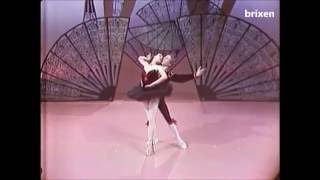 Don Quixote PDD variations coda  Tallchief Bruhn  early 1960s [upl. by Dita]