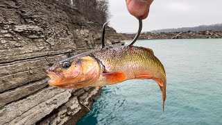 Fishing Off a CLIFF for MONSTER Fish Insanely Deep [upl. by Nosiram]