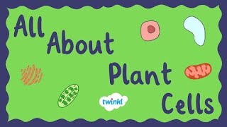 All About Plant Cells for Kids  Middle School Science  Twinkl USA [upl. by Shrier940]