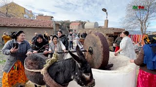 Retour Aux Sources Au Village Thawrirth à Bouzeguene à TiziOuzou … De L’huile à L’ancienne … [upl. by Pinto]