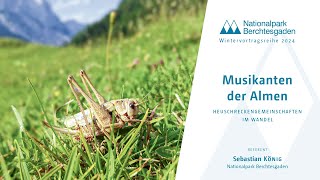 Musikanten der Almen – Heuschreckengemeinschaften im Wandel [upl. by Ttelrats]