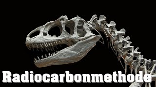 Datierung von Fossilien Radiocarbonmethode [upl. by Ailefo]