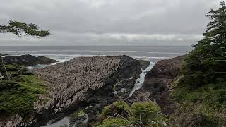 Wild Pacific Trail  Ucluelet Vancouver Island BC [upl. by Darcia850]