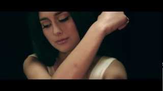 ELIF  Unter meiner Haut Official Video [upl. by Olds]