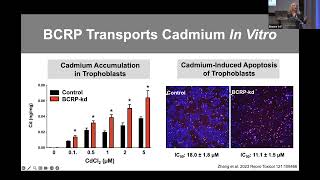 2024 MPRINT Annual Conference Prediction of Teratogenicity and Drug Toxicity Utilizing preclinica [upl. by Clellan813]