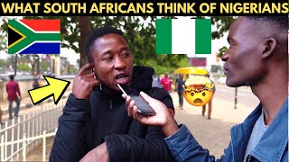 🇿🇦🇳🇬What South Africans Think of Nigerians amp Nigeria was Unexpected😯😳 [upl. by Ahmar636]