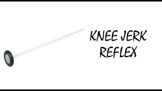 Knee Jerk Reflex [upl. by Lazos139]