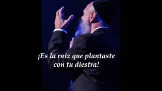 Habeit  Mordechai Ben David  Subtitulos en Español [upl. by Nywroc92]