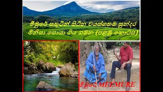 MeemureමීමුරේOldest and Happiest person lived in MeemureSri LankaSinhala [upl. by Gerita]