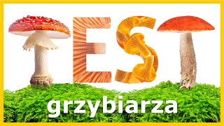 Test Grzybiarza  Ile z tych Grzybów Znasz Szybki Quiz [upl. by Yardna477]