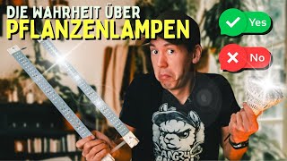 Pflanzenlampe 🤯 Hui oder Pfui  Wie viel Licht braucht deine Pflanze [upl. by Thorstein]