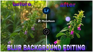 TUTORIAL EDITING BLUR BACKGROUND IN MOBILElightroom photoroom lensdistortions [upl. by Christie]