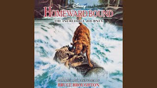 Homeward Bound Revised [upl. by Robinetta]