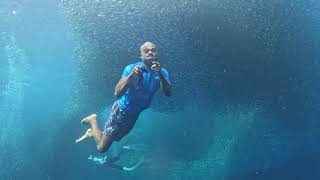 Passport Bro Digital Nomad Freediving Experience 3 [upl. by Nixie31]