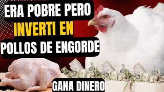 ¿Cuánto dinero se gana en una granja de pollos 2024 paso paso [upl. by Anisirhc]