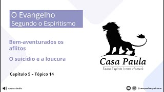 O suicídio e a loucura  Evangelho Segundo o Espiritismo  Cap 5  Tóp 14 [upl. by Nnylyma540]