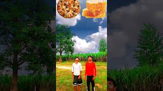 Tamatar bareh maza darh 😄😱shorts youtubeshorts funnyvideo newsong [upl. by Rheingold554]