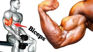 Biceps workout 6 Best Exercise To build Strong Biceps [upl. by Higgs]