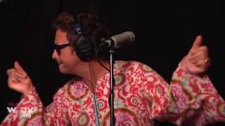 The Polyphonic Spree  quotPopular By Designquot Live at WFUV [upl. by Eul]