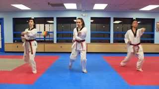 Taekwondo Basic Form 1 [upl. by Johathan]