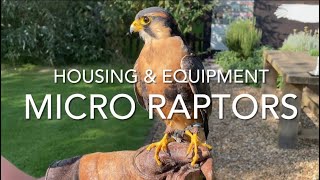 FALCONRY Micro Raptors housing and furniture [upl. by Nolyar]