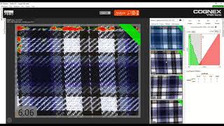 COGNEX ViDi Deep Learning 織物外觀檢測 [upl. by Bysshe674]