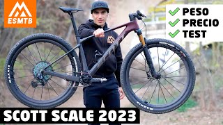 Scott Scale 2023 ¿la nueva reina de las rígidas [upl. by Gnemgnok348]