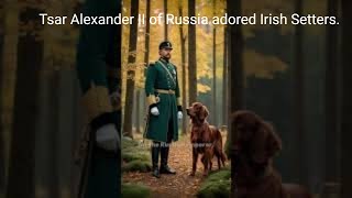 Why This Russian Tsar Loved Irish Setters [upl. by Anaed]