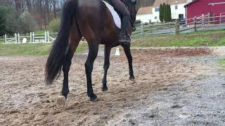 Elizabeth Bortuzzo and Theodore Cornet Obolensky Beginner Novice test A [upl. by Sidon]