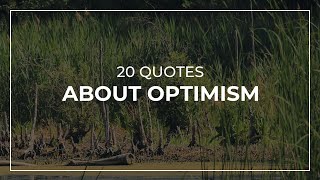 20 Quotes about Optimism  Daily Quotes  Good Quotes  Quotes for Photos [upl. by Arvy877]