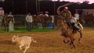 Tie Down Calf Roping at Rocking M Ropings Bryan TX [upl. by Hook481]