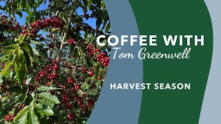 Coffee with Tom Greenwell Episode 20 [upl. by Cleve]