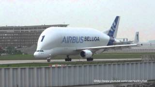 Airbus A300B4600ST The Super Transporter Beluga Nr1 take off in Hamburg Finkenwerder [upl. by Natty251]