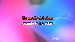 Karaoke Mi Tierra live  Gloria Estefan [upl. by Darrill]