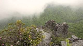 The Camel Linville Gorge [upl. by Hopfinger]