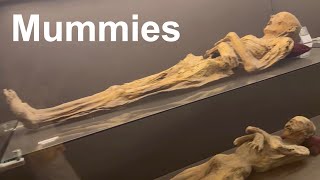 Museum of the Mummies in GUANAJUATO MEXICO [upl. by Eizzil152]