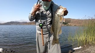 BASS FISHING IN CAYUCOS CA [upl. by Yenatirb]