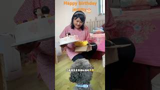 आज जेमे का जन्मदिन है 🎂aaj jeme ki birthday hai viral shorts [upl. by Enomis]