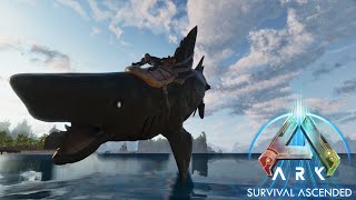 Taming the Buzzsaw Shark Helicoprion Ark Ascended Ep 38 [upl. by Gemma383]