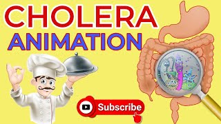 What is cholera  Causes Signs and Symptoms Diagnosis  Treatment  cholera animation  diarrhea [upl. by Retlaw]