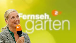 ZDF Fernsehgarten 08092024💯👍 live music party liebe [upl. by Beane]