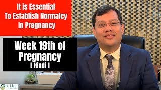 19th week of Pregnancy  40 Tips to 40 Weeks Hindi  By Dr Mukesh Gupta [upl. by Thedrick]