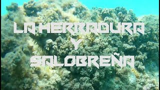 Snorkel  La Herradura amp Salobreña 🇪🇸 [upl. by Eceerehs]