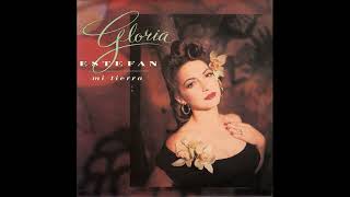 Gloria Estefan  Mi Tierra [upl. by Wynn814]