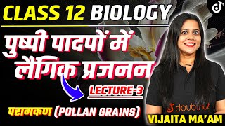 Class 12 Biology Sexual Reproduction in Flowering Plants L3 पुष्पी पादपों में लैंगिक प्रजनन [upl. by Neerual]