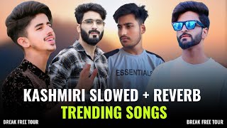 Top All Time Top 7 Kashmiri Slowed  Reverb Hit Songs  Trending Kashmiri Songs [upl. by Dusa]