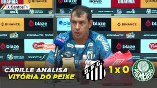 Carille analisa vitória do Peixe  Santos 1x0 Palmeiras  01042024 [upl. by Orit]